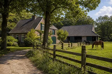 Kotten mit Pferdehaltung gesucht