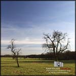 angebot_01_03