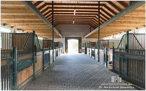 Reitanlage am Niederrhein nähe Ruhrgebiet