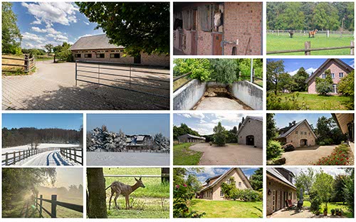 Reitanlage am Niederrhein nähe Ruhrgebiet