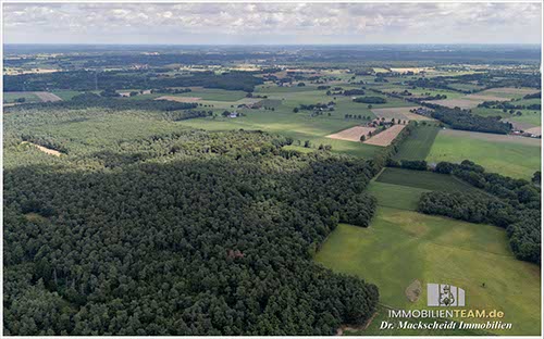 Reitanlage am Niederrhein nähe Ruhrgebiet