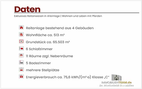Reitanlage am Niederrhein nähe Ruhrgebiet
