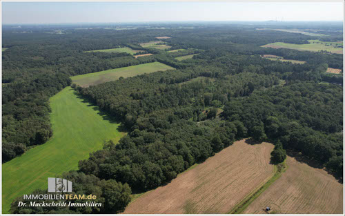 Ehemalige Schule im Wald am Niederrhein zu verkaufen