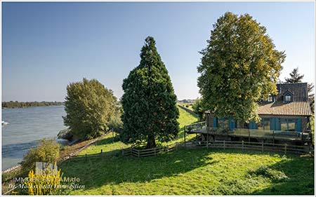 Haus in direkter Lage am Rhein 